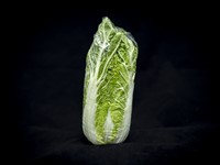 Salladskål 10kg