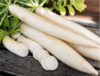 Rättika Vita ca13kg/låda