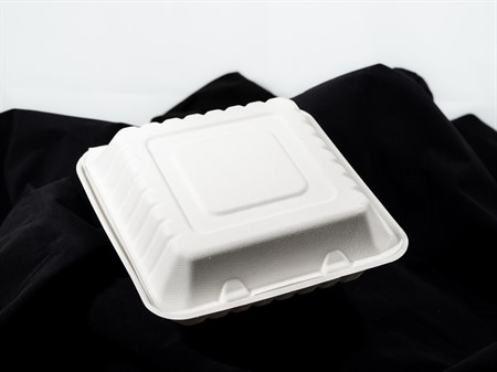 3 fack stor BAGASSE Duni 236x231x81 100st