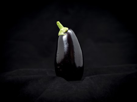 Aubergine