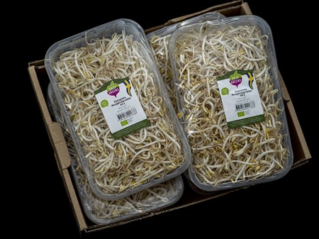 Böngroddar Krav Tråg 4x500gr