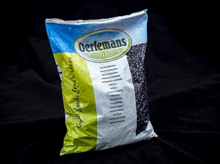 Blåbär frysta 2x2,5kg GGH